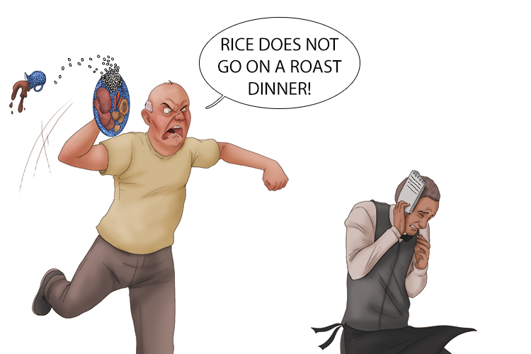 Rice doesn't go with a roast (arroz) dinner.